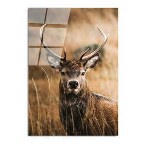 Üveg kép 70x100 cm Deer – Wallity kép