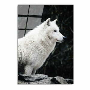 Üveg kép 70x100 cm White Wolf – Wallity kép