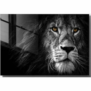 Üveg kép 70x50 cm Lion – Wallity kép