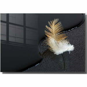 Üveg kép 100x70 cm Feather – Wallity kép