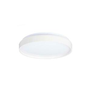LED Mennyezeti lámpa TEXAS LED/15W/230V fehér kép