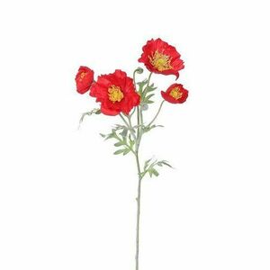 Pipacs 4 virággal, magassága: 52 cm, piros kép