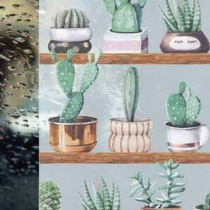 Kaktusz sztatikus üvegdekor ablakfólia 67, 5cmx15m kép