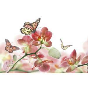 Pillangók a virágon, poszter tapéta 375*250 cm kép