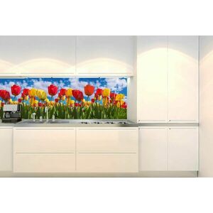Öntapadó konyha fotótapéta tulipánokkal teli mező kép