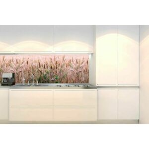 Öntapadó konyha fotótapéta búza mező kép