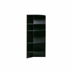 Fekete kőrisfa könyvespolc 100x168 cm Trian – WOOOD kép
