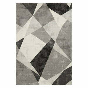 Szürke szőnyeg 120x170 cm Nova – Asiatic Carpets kép