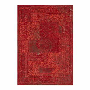 Celebration Plume piros szőnyeg, 80 x 150 cm - Hanse Home kép
