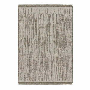 Bézs kültéri szőnyeg 77x150 cm Niya – Universal kép