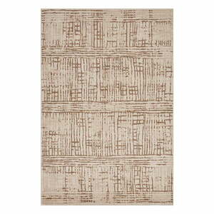 Barna-bézs szőnyeg 170x120 cm Terrain - Hanse Home kép