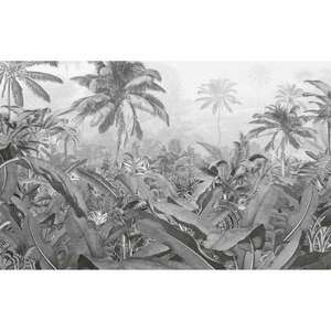 Komar amazónia fekete-fehér fényképfreskó 400 x 250 cm kép