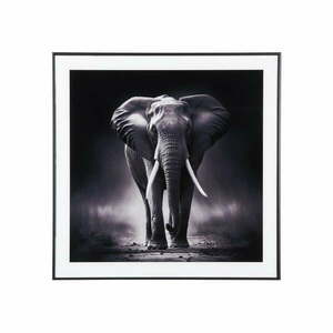 Kép 50x50 cm Elephant – PT LIVING kép