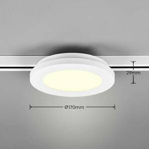 LED mennyezeti lámpa Camillus DUOline, Ø 17 cm, fehér kép