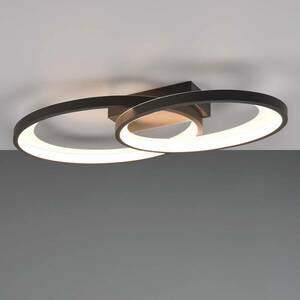 LED mennyezeti világítás Malaga 2 gyűrűvel, fekete kép