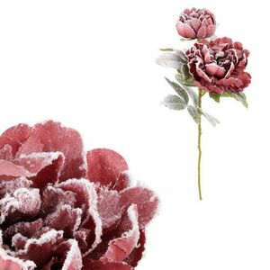 Mű pünkösdi rózsa, 2 virág, barna kép
