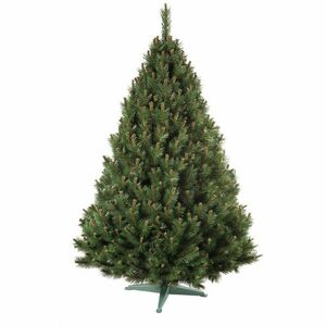 Nohel 91412 Erdeifenyő karácsonyfa, 160 cm kép