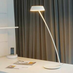 OLIGO Glance LED asztali lámpa ívelt fehér matt kép