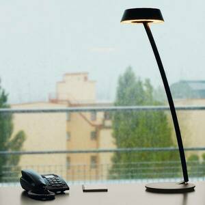 OLIGO Glance LED asztali lámpa ívelt fekete matt kép