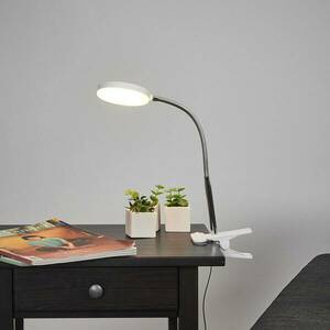 Lindby LED-es csíptethető asztali lámpa Milow, fehér, fém, 36 cm magas kép