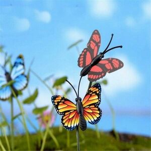 Kerti Pillangó (50db) kép