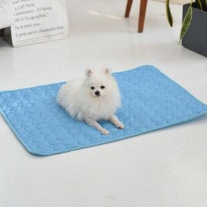 Hűsítő matrac kutyáknak kép