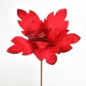 Mikulásvirág piros, 30 cm átmérőjű kép