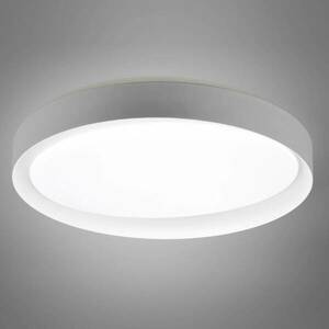 LED lámpa Zeta hangolható feh., szürke / feh. kép