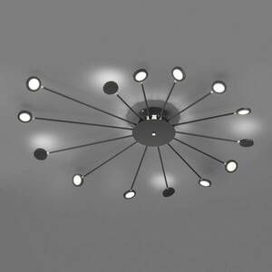LED mennyezeti lámpa Peacock, 15 égős, fekete kép
