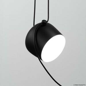 FLOS Aim Small LED függő lámpa, fekete kép