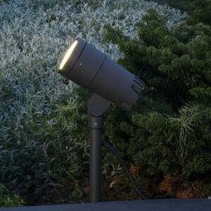 LED földi tüskés reflektor Andria 230 V, 9 W kép