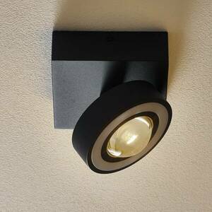 Paul Neuhaus Q-MIA LED mennyezeti fény antracit kép