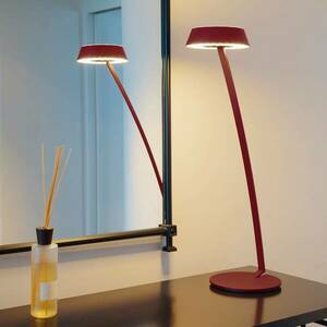 OLIGO Glance LED asztali lámpa ívelt piros matt kép