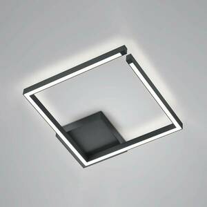 LED mennyezeti lámpa Yoko, négyzet alakú fekete kép