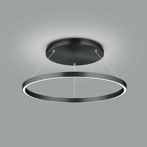 Lisa-D LED függőlámpa, gyűrű alakú, fekete kép