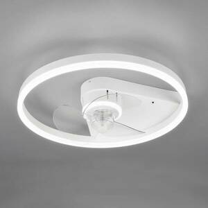 Borgholm mennyezeti ventilátor LED-es, CCT fehér kép