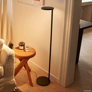 FLOS Oblique Floor LED állólámpa, 927, antracit kép