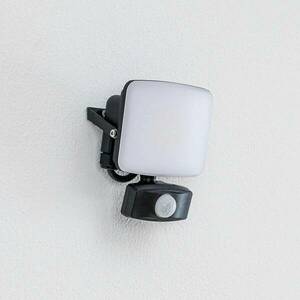 Prios Paityn LED külső fali lámpa, érzékelő 10 W kép