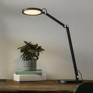 LED íróasztal lámpa Regina fényerősz., fekete kép