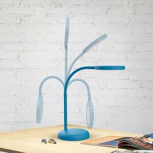 MAULjoy LED asztali lámpa, kék kép