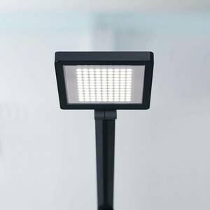 LED asztali lámpa PARA.MI FTL 108 R fekete 930 kép
