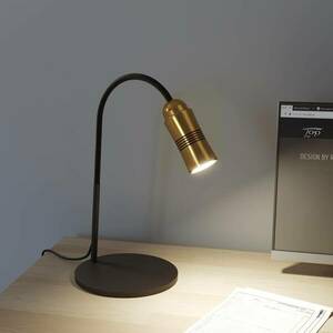 Neo! Table LED asztali lámpa dimm sárgaréz/fekete kép