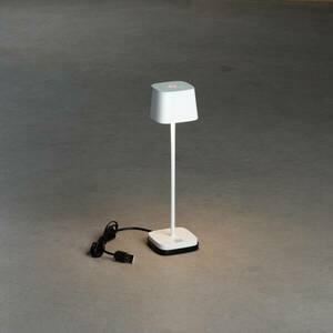 LED asztali világítás Capri-Mini, kültérre, fehér kép