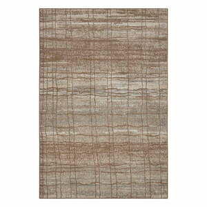 Barna-bézs szőnyeg 170x120 cm Terrain - Hanse Home kép