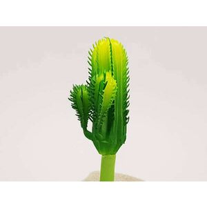 Kaktusz 12cm kép