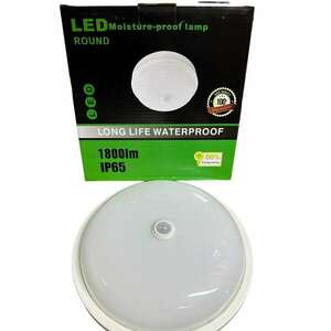 LED Mozgásérzékelős mennyezeti lámpa, 20W, 1800lm, IP65, 4000K, 30 led kép