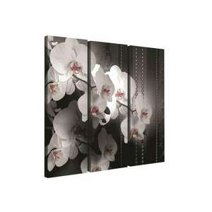 Vászonkép szett 3 darabos Orchidea elegáns 4 kép