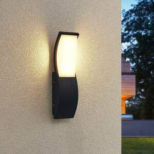 Lucande Maca LED kültéri fali lámpa kép