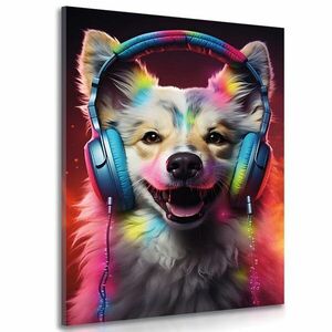 Kép kutya fülhallgatóval kép