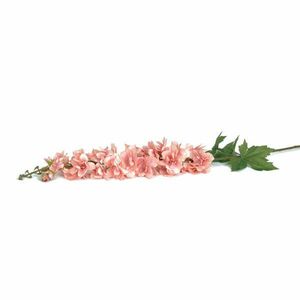 Szarkaláb művirág - rózsaszín kép